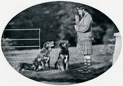 フランシスクラーク氏、クイーンズギリー、お気に入りの犬3匹、c1899、1901 作： G. W. Wilson and Company
