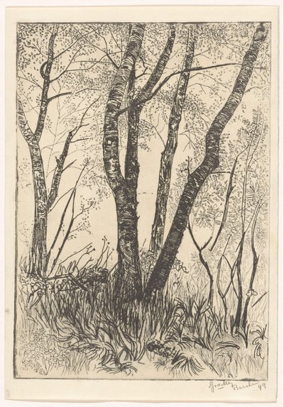 背の高い草の木 作： G. van der Mey (signed by artist)