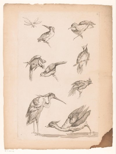 カワセミ、サギ、アヒル、トンボなど、中国の鳥 8 羽 いろいろな中国の鳥（連載タイトル） Livre des differentes éspeces d