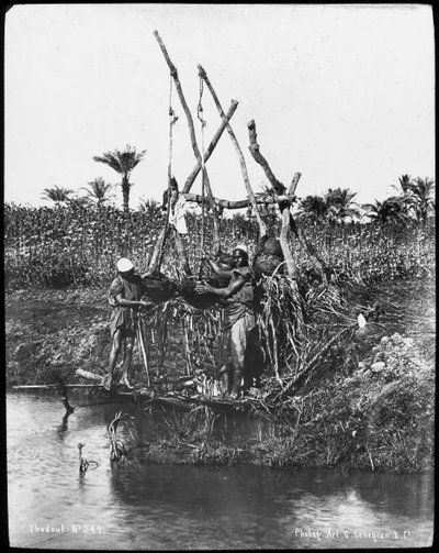 エジプト、ナイル川のシャドゥフ、c1890 作： Gabriel Lekegian