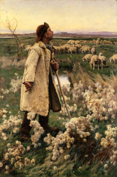 シェパード、1884年。 作： Gaines Ruger Donoho