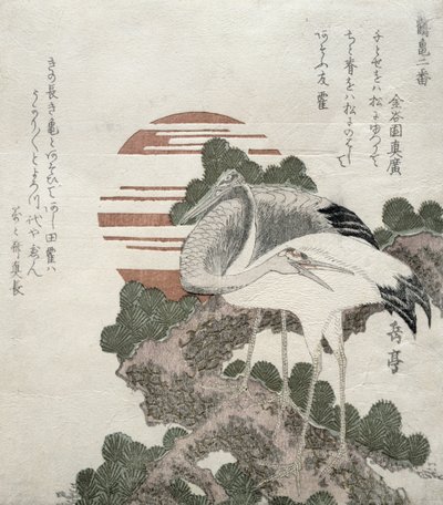鶴（鶴）シリーズ2の鶴と亀のデザイン、1818-30（木版彫刻） 作： Gakutei Harunobu