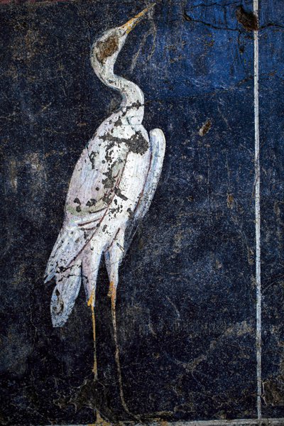 ローマの壁画 作： Gallo-Roman