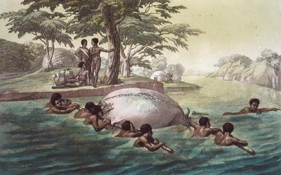 ジュール・フェラリオ著「Le Costume Ancien et Moderne」（1820年代〜30年代に出版）のプレート67「Gingri Tribesmen Crossing the River Zebee」（カラーリトグラフ）。 作： Gallo Gallina