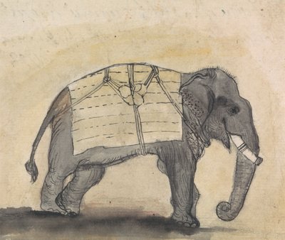 象 作： Gangaram Chintaman Tambat