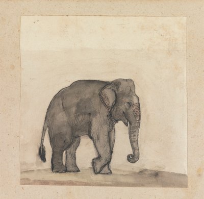 象 作： Gangaram Chintaman Tambat
