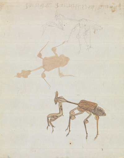 カマキリ 作： Gangaram Chintaman Tambat