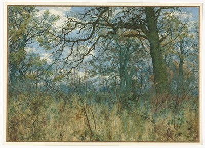 樹木と下草、1885年。 作： Garden William Fraser