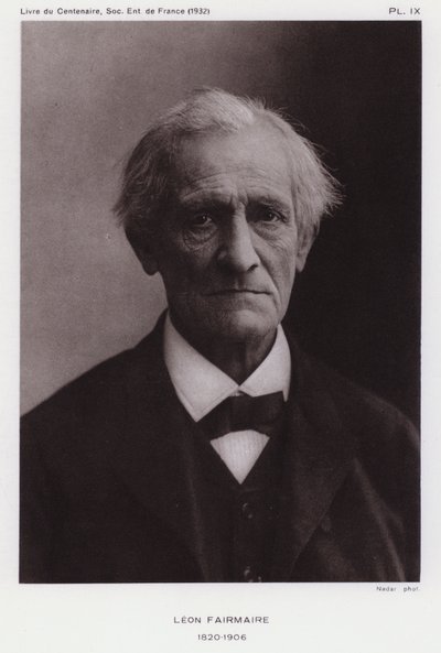 レオン・フェアメア（フランスの昆虫学者）（モノクロ写真 作： Gaspard Felix Tournachon Nadar