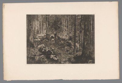 ボスランドシャップ Doubs のモミの木 (オブジェクトのタイトル) France etsen uit 1876 (シリーズタイトル) 1876年のエッチング（連載タイトル） 作： Gaston Coindre
