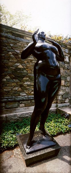 スタンディング・ウーマン（エレベーション 作： Gaston Lachaise