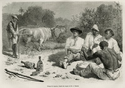 1878年から1879年にかけて、フランス海軍の医師ジュール・クレヴォーが『Tour du mon』誌に掲載した『De Cayenne aux Andes』の物語を説明するために、G.Vuillierが描いた絵をもとにしたエングレーヴィング。 作： Gaston Vuillier