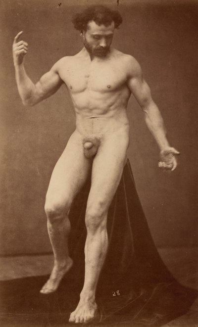 ヌードの習作、1870年代（写真） 作： ガウデンツィオ マルコーニ