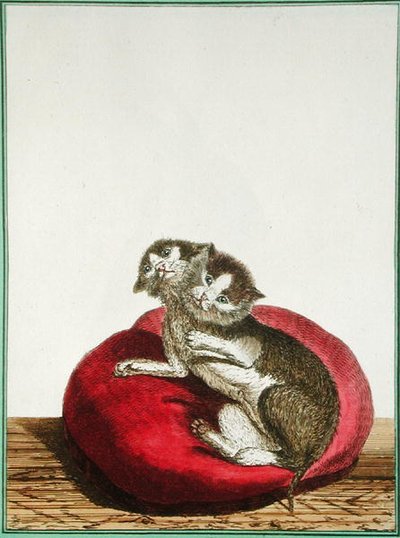 二頭身の猫 作： Genevieve Regnault de Nangis