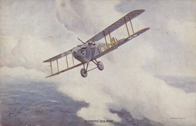 Sopwith Dolphin 戦闘機 (カラーリソ) 作： Geoffrey (after) Watson