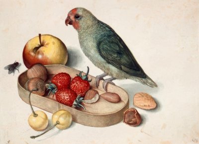 ドワーフオウムのある静物 作： Georg Flegel