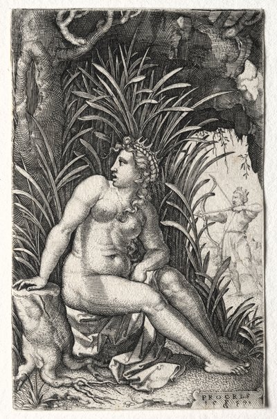 プロクリス 作： Georg Pencz