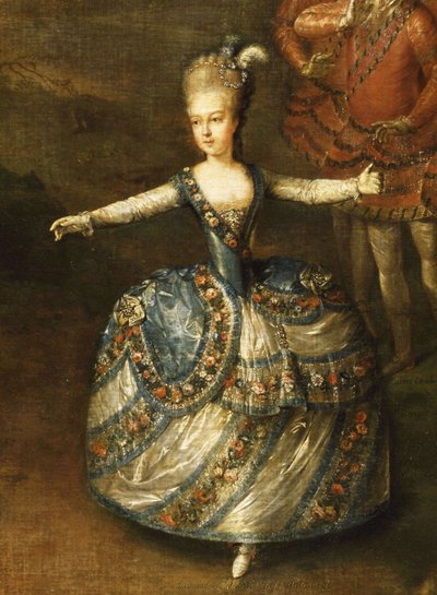 皇帝ジョセフ2世とバヴァルのマリージョセフ王女の結婚を祝う組織 作： Johann Georg Weikert