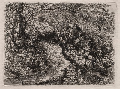 小川の古い柳 作： Georg von Dillis