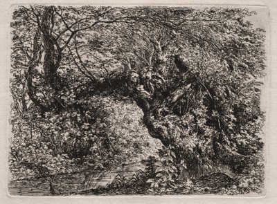 小川のほとりの古い柳」1794年 作： Georg von Dillis