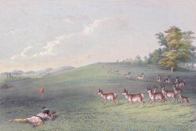 ジョージ・カトリンの北米インディアンのポートフォリオ 作： George (after) Catlin