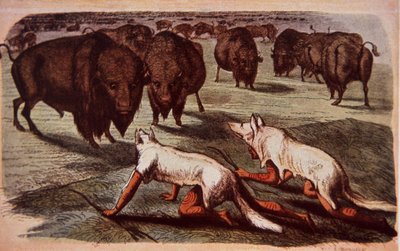 狼の皮をかぶって草を食むバッファローに忍び寄る北米平原インディアン（1840年頃）（カラーリトグラフ 作： George (after) Catlin