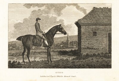 サラブレッド競走馬オトの肖像 作： George (after) Stubbs