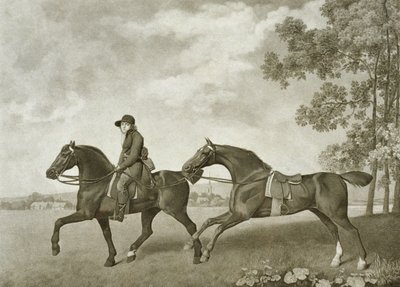 ジョージ・タウンリー・スタッブス（bap.1748-c.1815）が彫刻した「2つのハック」（リトグラフ）。 作： George (after) Stubbs