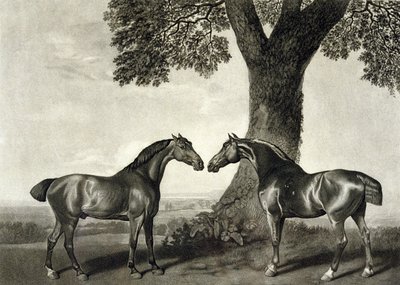 G.T.スタッブス（bap.1748-c.1815）が彫った「二人の狩人」（リトグラフ）（266802も参照）。 作： George (after) Stubbs