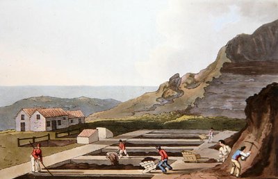 ロバート・ヘイヴル（1769-1832）が彫刻した「ヨークシャーの衣装」より「アルミナム・ワークス」 1814年（カラーリトグラフ 作： George (after) Walker