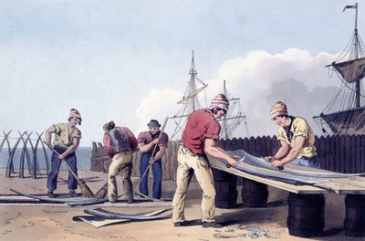 ロバート・ハヴェル（1769-1832）1814年（リトグラフ）版「ヨークシャーの衣装」より、クジラの残骸を掻き出し、掃除する漁師たち。 作： George (after) Walker