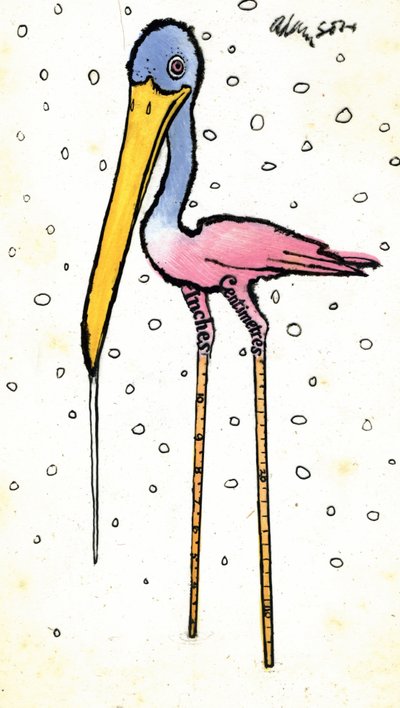 コウノトリ、校正済みシャンクス、1970年代（ガッシュより透明度の高いイニダンインク、カード上） 作： George Adamson