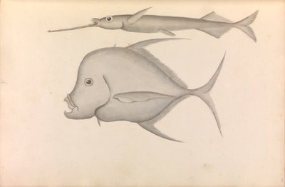 ジョージ・アンソン提督の世界一周航海記 作： George Anson