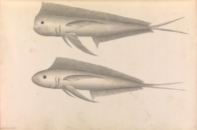 ジョージ・アンソン提督の世界一周航海記 作： George Anson