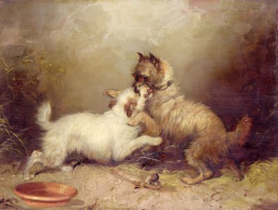  作： George Armfield