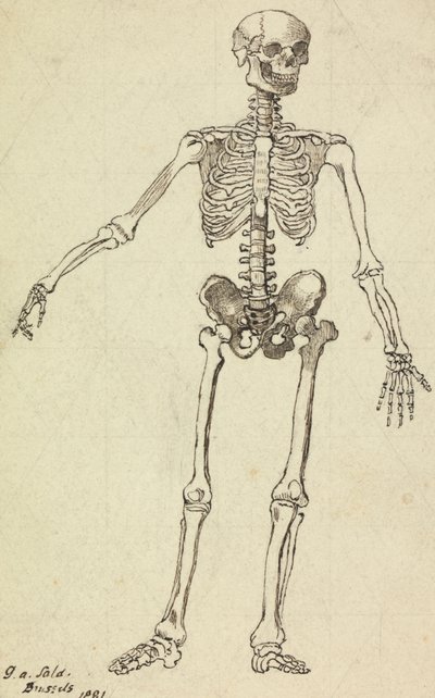 Piirustus luurangosta 作： George Augustus Sala