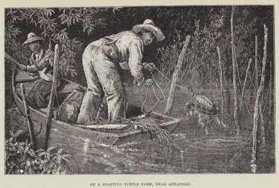 アナポリス近くのスナッピングタートルファーム 作： George Augustus Sala