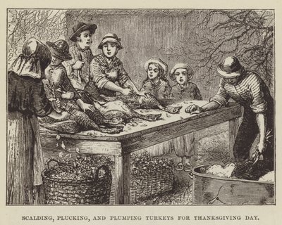 感謝祭のための七面鳥の熱傷、摘採、肉抜き 作： George Augustus Sala
