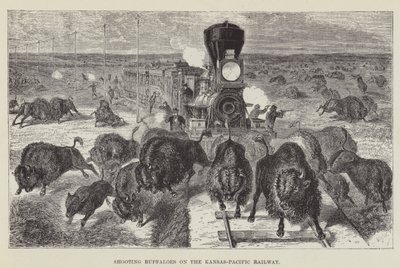 カンザス太平洋鉄道で水牛を撃つ 作： George Augustus Sala