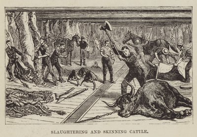 牛の屠殺と皮剥ぎ 作： George Augustus Sala