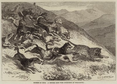 インドでの狩猟、ウータカムンドでのフォックスハウンドとのヒョウ狩り 作： George Bouverie Goddard
