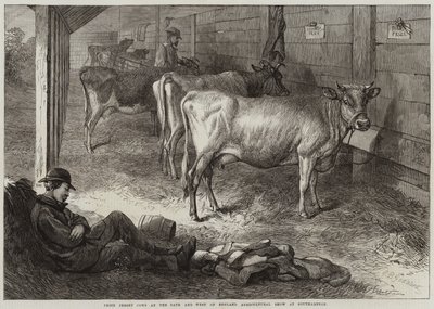 サザンプトンでのバースとイングランド西部農業ショーでの賞のジャージー牛 作： George Bouverie Goddard