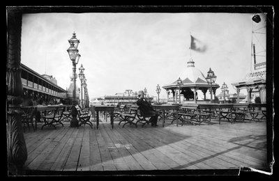 Cables and Iron Cow、Coney Island、Brooklyn、c.1872-87（wet-collodion negative） 作： George Bradford Brainerd