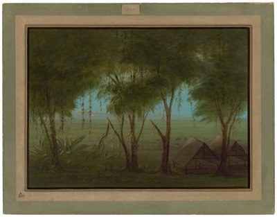  作： George Catlin