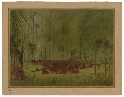 ペッカリーとの戦い - カリブ 作： George Catlin