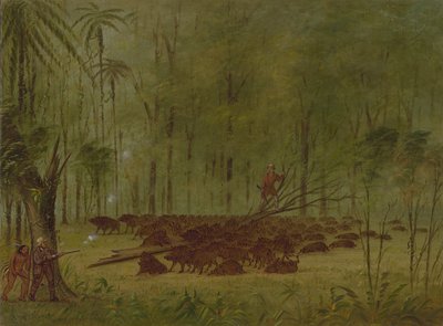 ペッカリーとの戦い - カリブ、18541869。 作： George Catlin