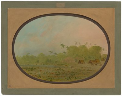  作： George Catlin