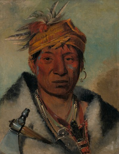 Ah-yaw-né-tak-oár-ron a Warrior、1831年。 作： George Catlin