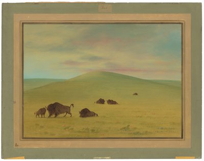 アメリカの牧草地 - プラットの草原 作： George Catlin