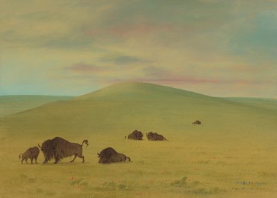アメリカの牧草地 - プラットの草原、18611869。 作： George Catlin